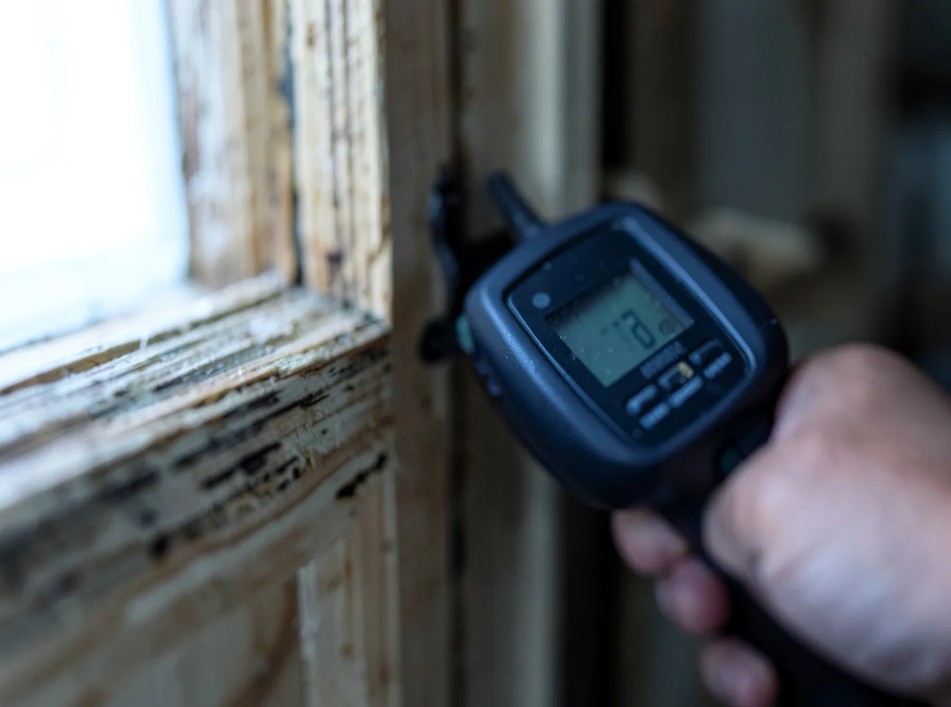 Ceiling Water Damage Repair in Egypt, TX